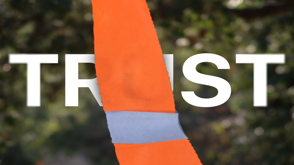WL JustTrustFlag